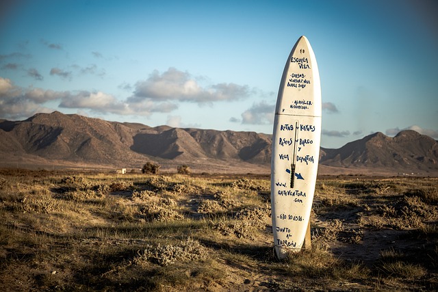 tabla de surf en la arena de la playa